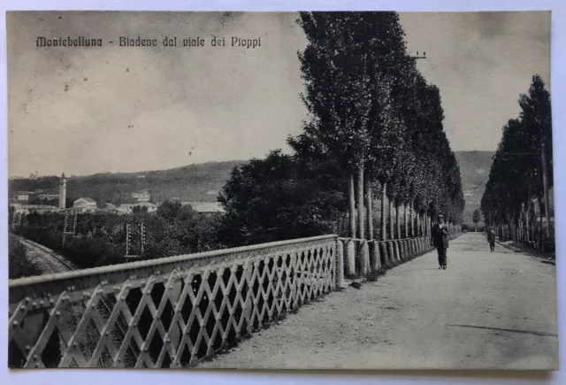 Cartolina Montebelluna viale Pioppi animata Treviso paesaggistica T11