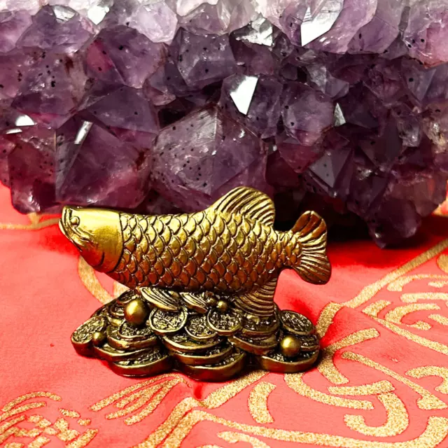 Feng Shui Arowana Fish/Dragon Fish For Wealth