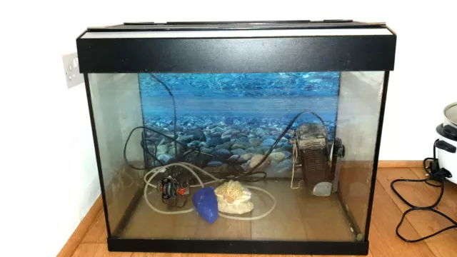 Large fish tank with accessories