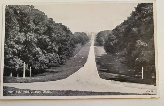 RPPC Long Walk Windsor Castle 1930s Real Photo Postcard England Great Britain GB