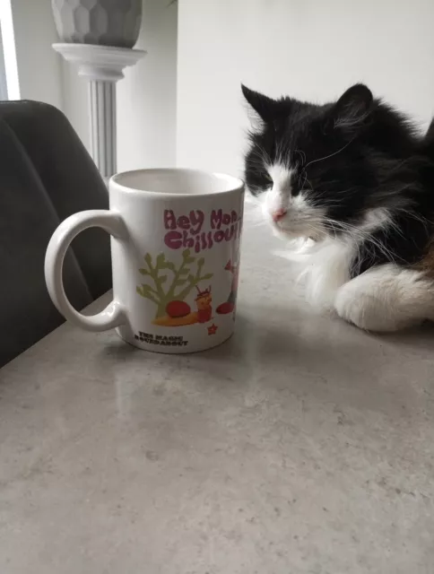 Vintage 2009 The Magic Roundabout Ceramic Mug "Hey Mon Chillout"