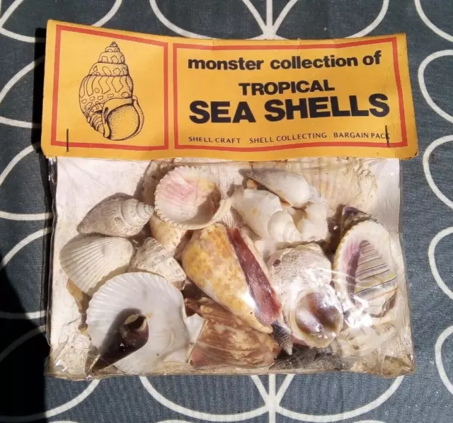 26 +  Medium & small tropical sea shells and coral in original vintage packing.