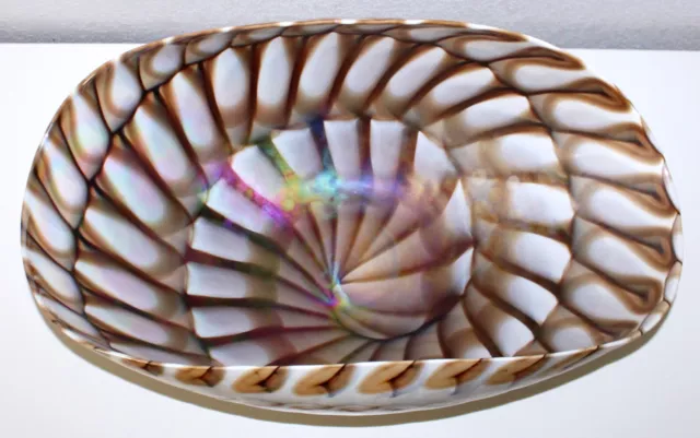 Yalos Casa Iridescent Glass Sea Shell Bowl Italian Murano Brown White 20.5 inch