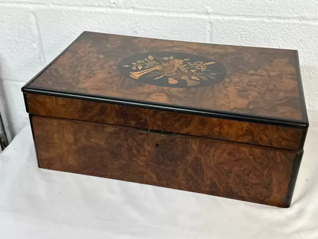 fine Edwardian Victorian 1800s burl walnut lap desk box birdseye maple inlaid 2