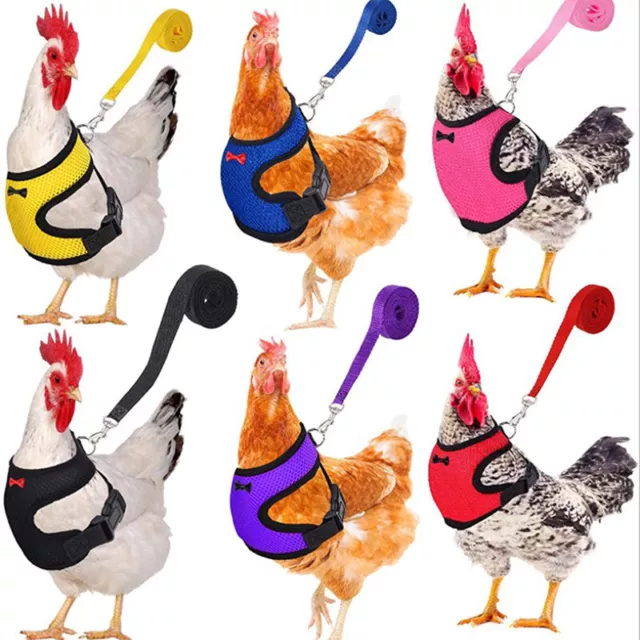 Chicken Vest Hen Belt Pet Harness Matching Collars Bow Comfortable LeadsY-EL