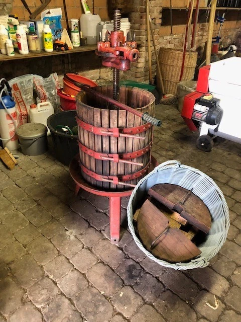 Presse à Cliquet Pour Fruits (raisin, Pommes, Etc.) - 2 Vitesses - Cuve Acier, Vis Robuste, Lattes Hêtre - Fabriqué En Italie