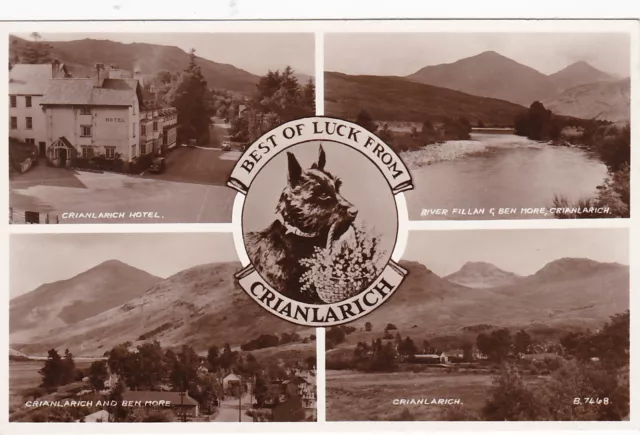 Scotty Dog Multiview, CRIANLARICH, Perthshire RP