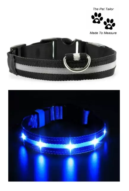 Galgo Perro LED Collar de Talla L Grande Iluminación Parpadeante Cable Arnés