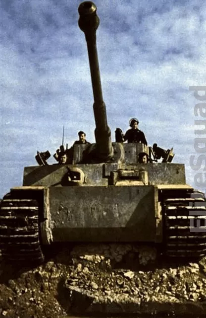 WW2 Photo Picture Crew of German Panzer Tiger I Or the King Tiger tank 318