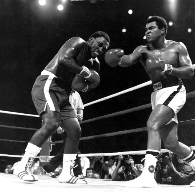 Muhammad Ali Boxer Athlete 8x10 Picture Celebrity Print