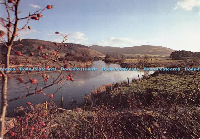 D002160 River Tweed. Peeblesshire. Scottish Home and Country Magazine