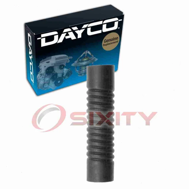 Dayco Lower Water Pump To Pipe Radiator Hose for 1955-1956 Hudson Hornet cs