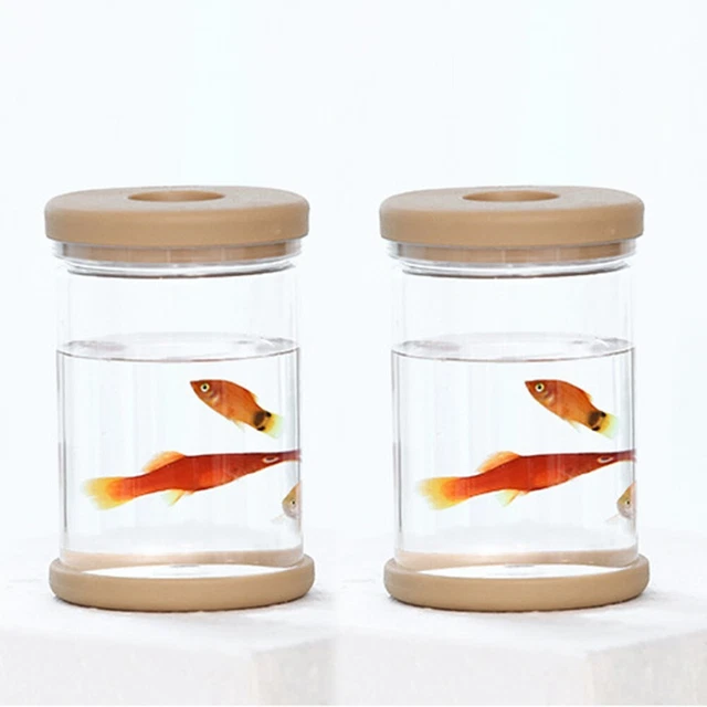 Pratico vaso per piante vaso per animali domestici vaso idroponico per fiori piante plastica 2 pz 8