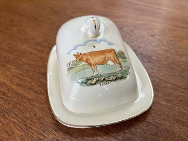 Crown Devon Fielding’s Jersey Souvenir Series Cheese / Butter Dish