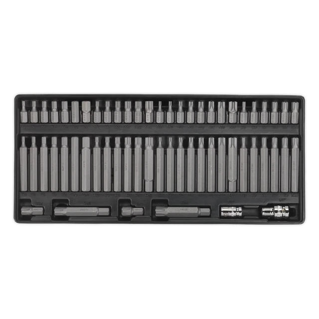 Tool Tray Mit Bit-Set 60-teilig – Inkl. TRX-Star, Hex, Ribe, Spline Bits