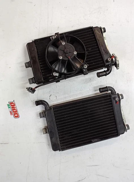 Radiatore Acqua Sx e Dx Con Tappo Originale Malaguti Spider Max 500 con ventola