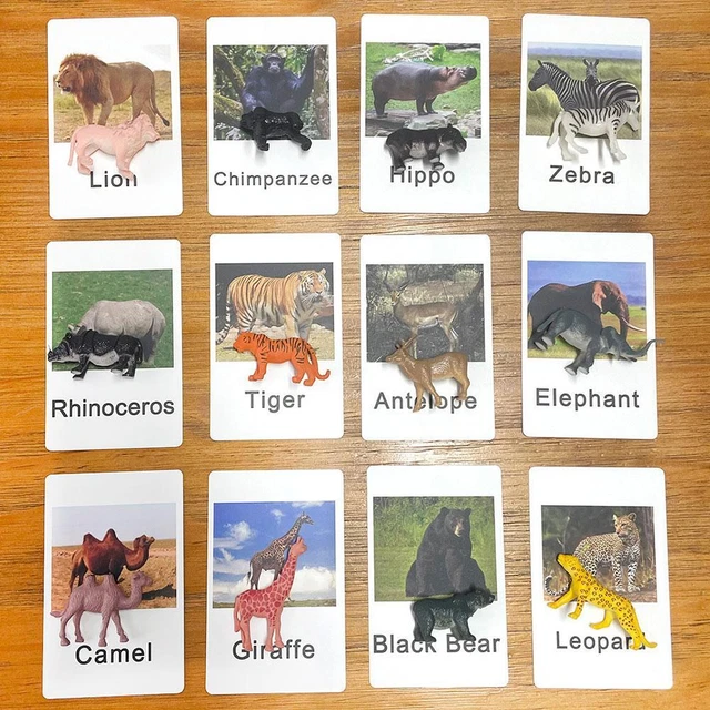 Montessori animal match cheap
