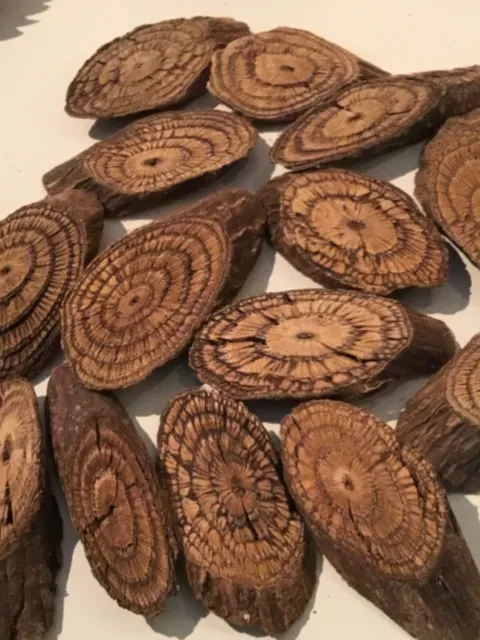 Rebanadas de madera de corteza de mariposa 12 piezas rebanadas de árbol artesanías decorativas de madera