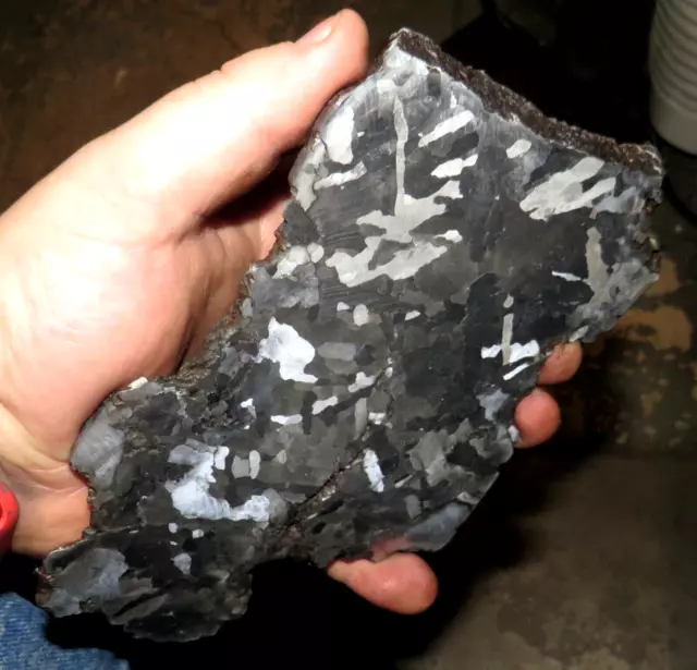 Beautiful 7.6X4.6 Inch, 664 Gm Campo Del Cielo Etched Meteorite Slab!!!