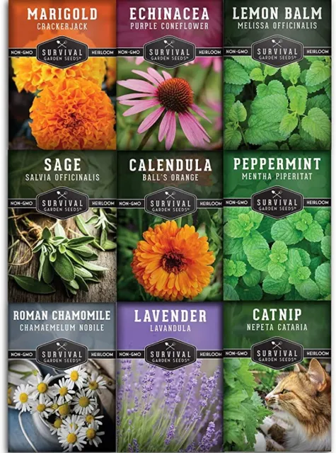 Survival Garden Seeds Medicinal Tea Collection 9 Non GMO Heirloom Herbs To Grow