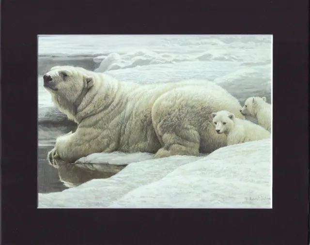 8X10" Matted Print Art Painting Picture, Robert Bateman: Bear Family 1978