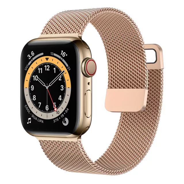 Magnetic Loop Steel Mesh Band Strap for Apple Watch 9 8 7 6 5 4 SE 40/44/41/45mm