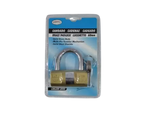 Cadenas en acier inoxydable avec 3 clés pour portes haute qualité 60mm et 40mm