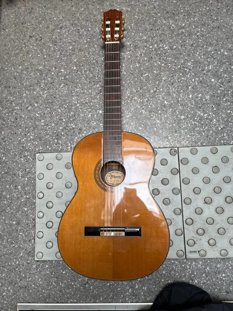 guitare takamine