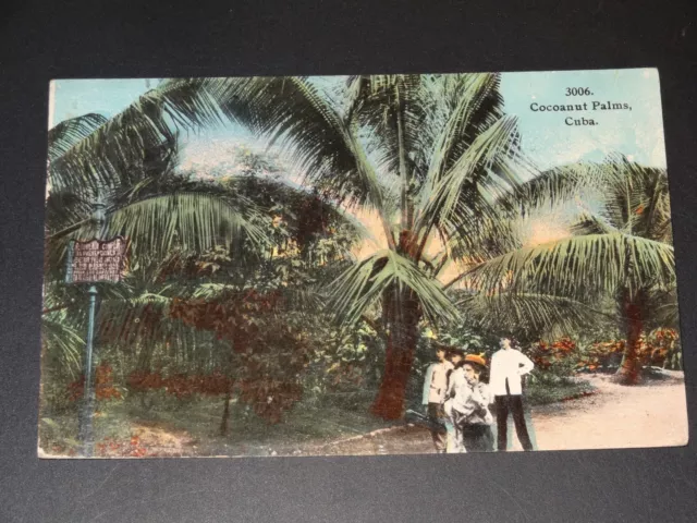 Cpa - Cuba - Cocoanut Palms - 1912