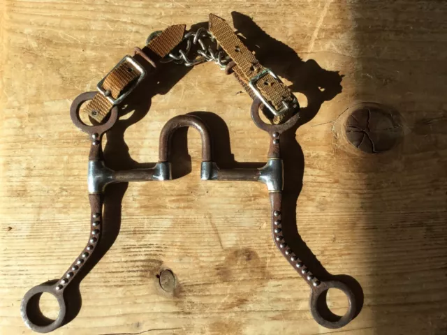 Western Correction Bit  - Loose Cheek - With Double Curb Strap