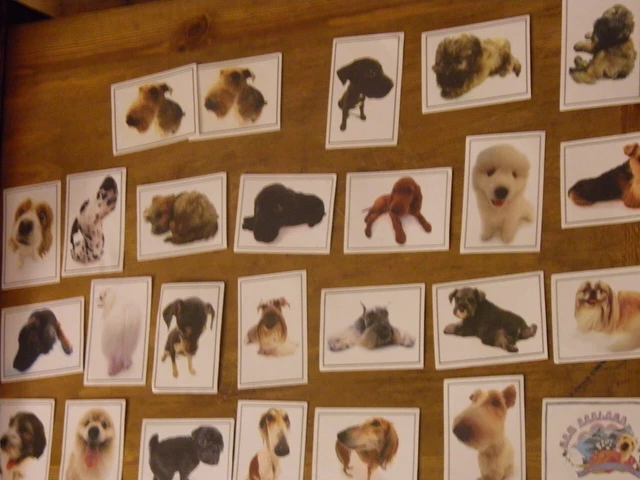 Lot 26 stickers The Dog Artlist Collection Panini