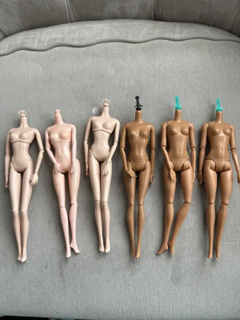 Lot Of 6 Articulated Barbie Bodies— Caucasian, AA, Two Model Muse