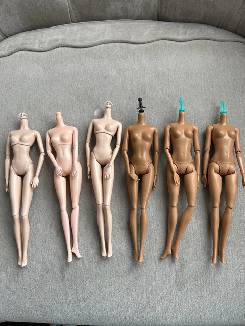 Lot Of 6 Articulated Barbie Bodies— Caucasian, AA, Two Model Muse Lot Of 6 Articulated Barbie Bodies— Caucasian, AA, Two Model Muse