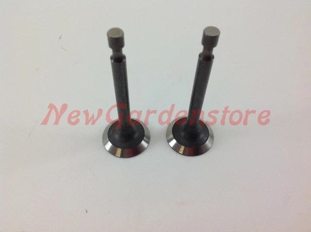 Road Passion Kit Valvole Motore Aspirazione E Scarico Per Honda CRF250R (2004-2009), CRF250X (2004-2017), CRF250L (2004-2009) - 2 Pezzi