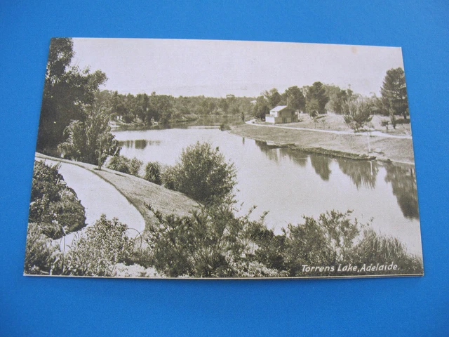Torrens Lake Adelaide South Australia Intelligence and Tourist Bureau Postcard