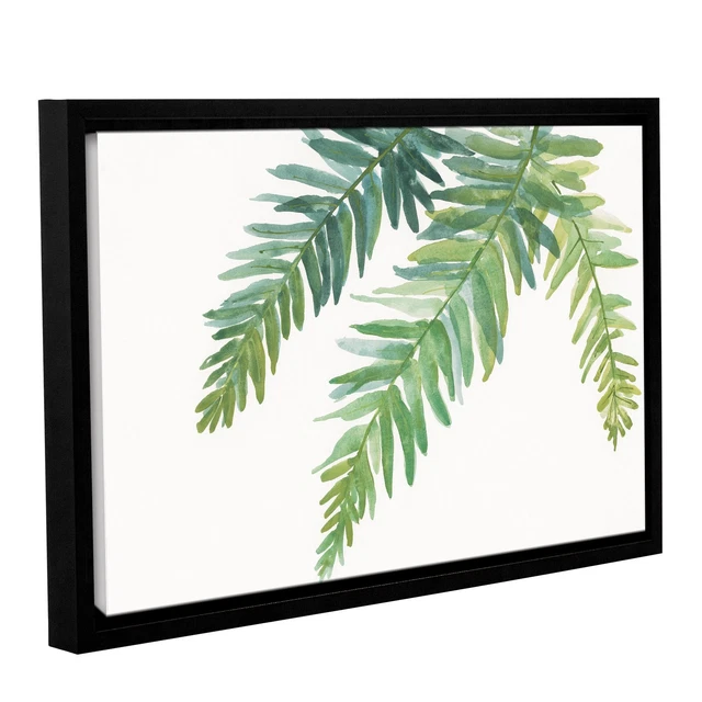 Chris Paschke's 'Ferns I' Gallery Wrapped Floater-framed Multi Small