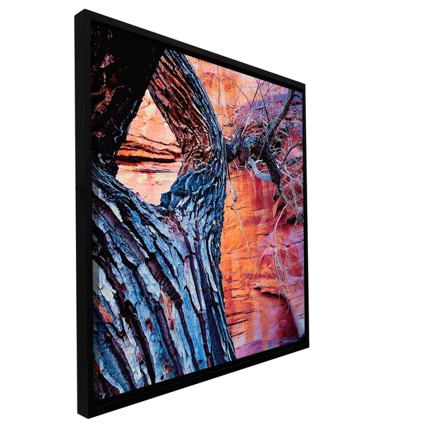 ArtWall Dean Uhlinger 'In The Escalante' Floater Framed  Small