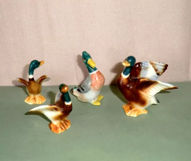 Vintage Flock Of Mallard Duck Miniature Bone China Ornaments x 4