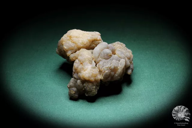 Chalcedon Marokko Stufe Mineral Sammlung Kristall Deko deco 2
