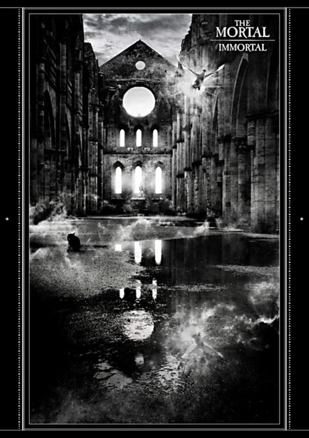THE MORTAL/IMMORTAL〈2枚組〉通常版 DVD 新品未開封 THE MORTAL/IMMORTAL〈2枚組〉通常版 DVD 新品未開封 Amazon.co