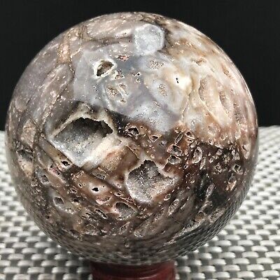 1.45LB Natural Sphalerite Geode Sphere Druzy Quartz Crystal Ball Healing F1236