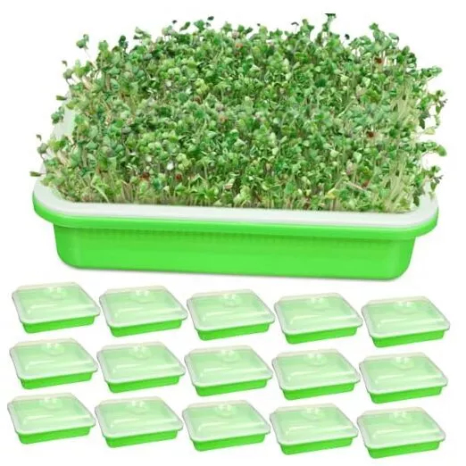 16 Pcs Seed Sprouter Tray with Drain Holes Seed 13 x 9.45 x 1.77 Inch With Lid