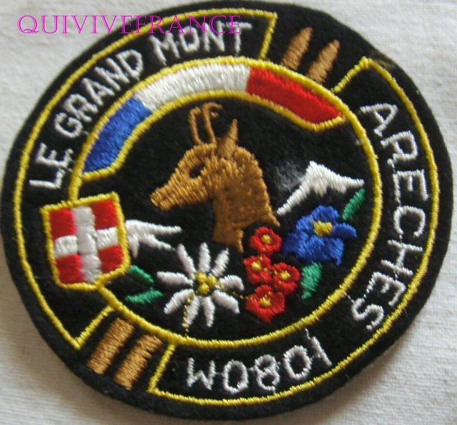 TRANSMISSIONS INSIGNE PATCH Ecusson Tissu 10eme Cie du 41eme RT EUR 15