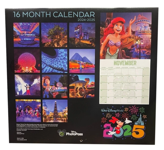 DISNEY PARKS WALT Disney World 2024 2025 Color Wall Calendar 16Month