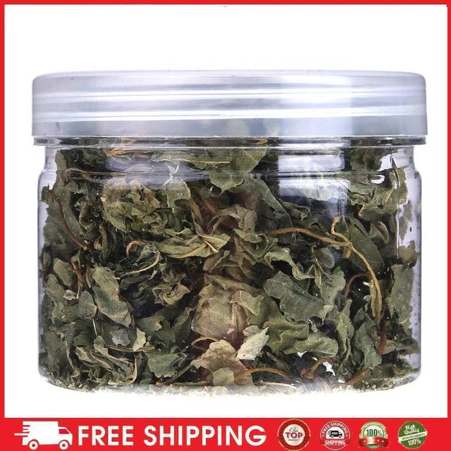 300 ml antipietre erba gatto naturale menta foglie prato mentolo gomma