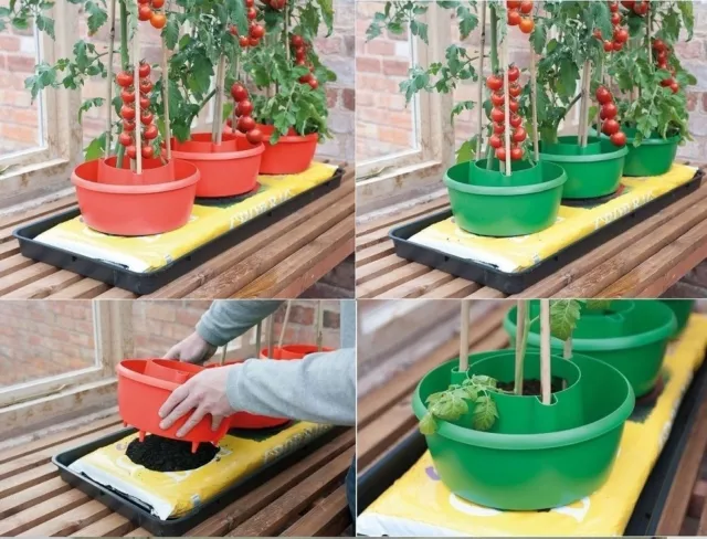 Garden Tomato Bean Plant Halo Halos Grow Bag Watering Pot Plant Grow