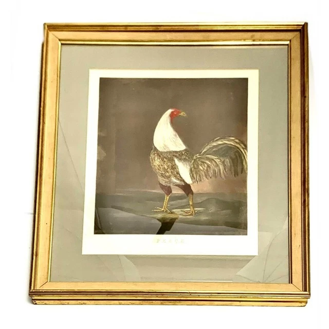 Rooter Art Antique  30”  19th Century Hand Colored  Engraving Wall Decor