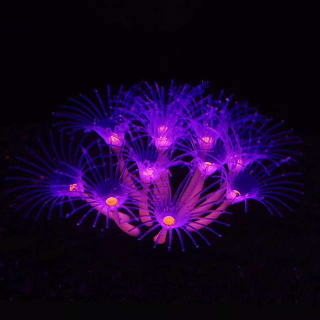AQUARIUM ARTIFICIAL SILICONE Coral Plant Decorations Fish Tank Glowing ...