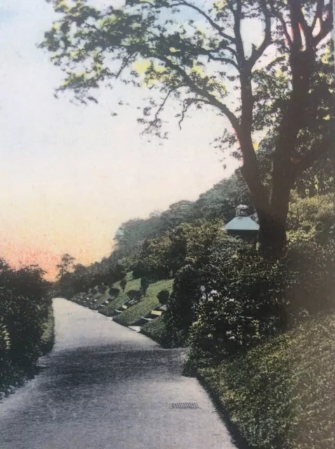 Woodhouse Ridge Leeds Postcard 1913 Secessionist Border Art Nouveau Regal Series