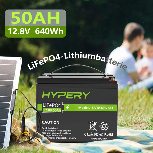 Batteria 12 V 50AH LIFEPO4 ricaricabile batteria al litio BMS fosfato camper camper camper
